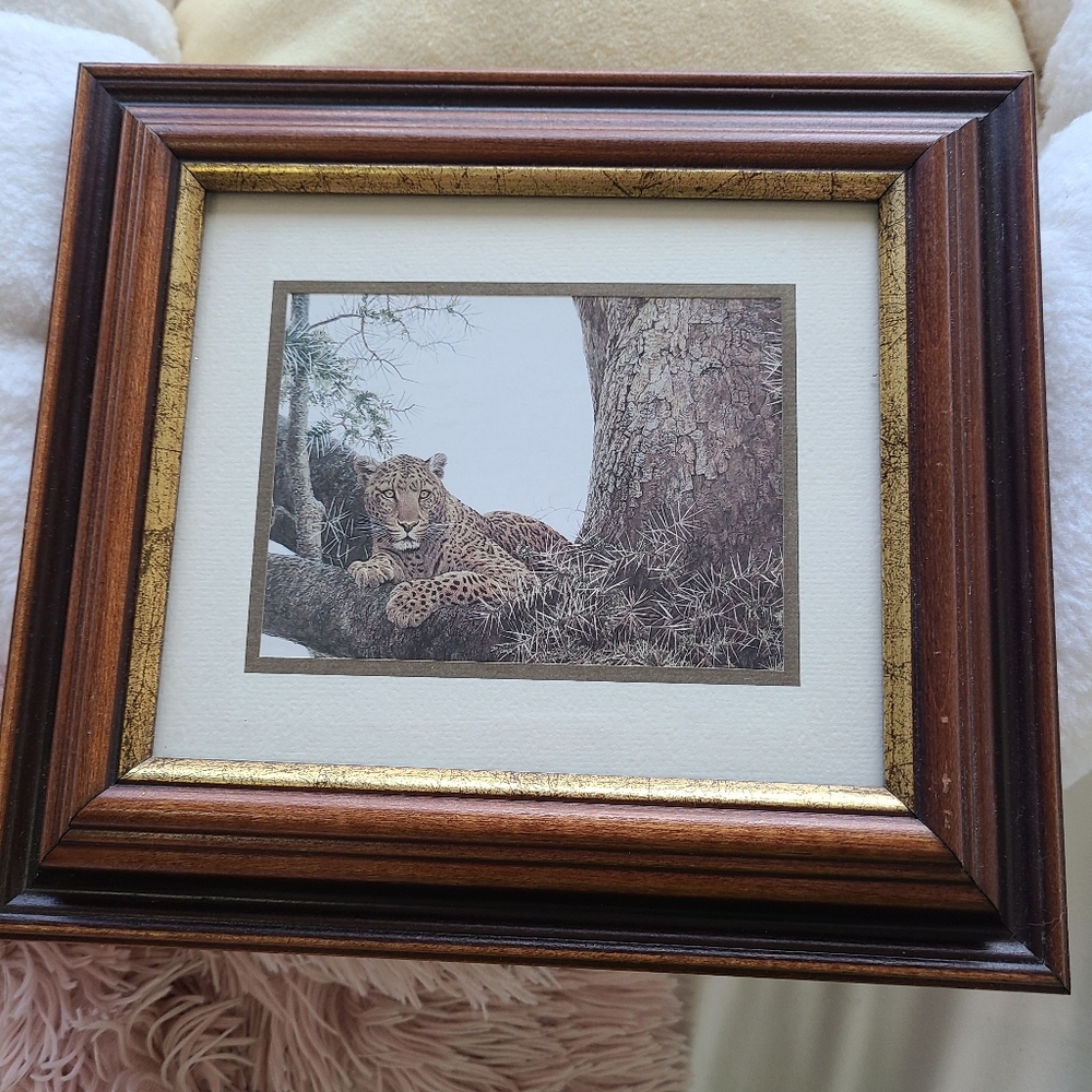 Robert Bateman Framed Print Leopard